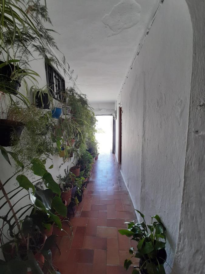 Loft De La Morena Y Estudio Jr Vejer de la Frontera Exterior photo