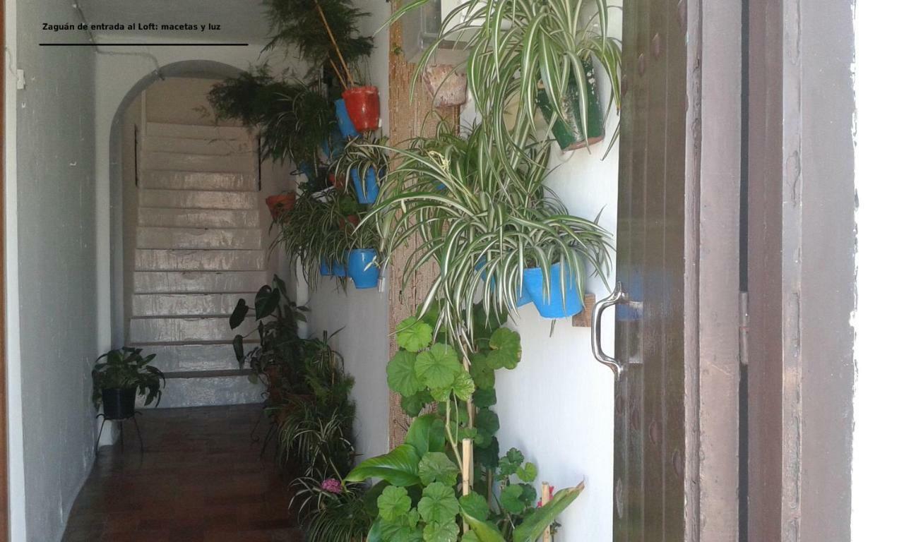 Loft De La Morena Y Estudio Jr Vejer de la Frontera Exterior photo